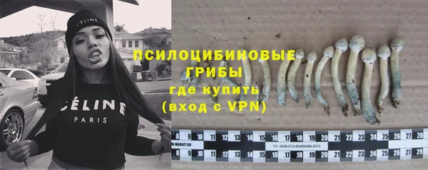 MESCALINE Алзамай