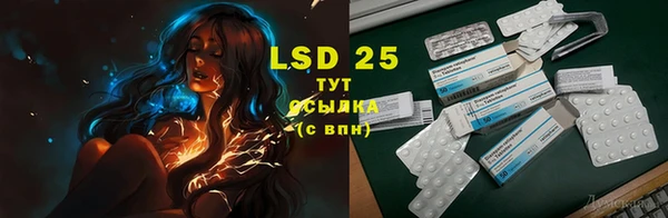 MESCALINE Алзамай