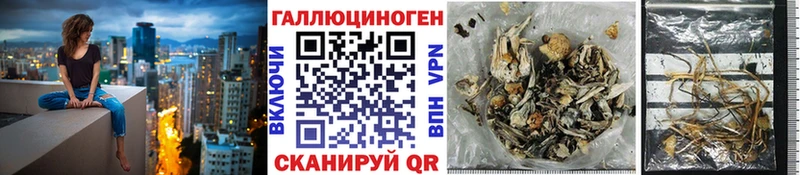 Галлюциногенные грибы Cubensis кракен Балашиха