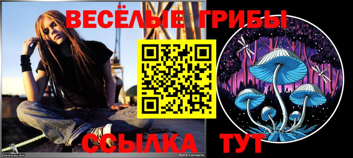 Псилоцибиновые грибы прущие грибы Балашиха
