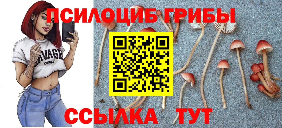 Псилоцибиновые грибы GOLDEN TEACHER  Вход с VPN  наркошоп  Балашиха 